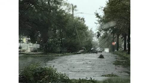 WILMINGTON, N.C. damage